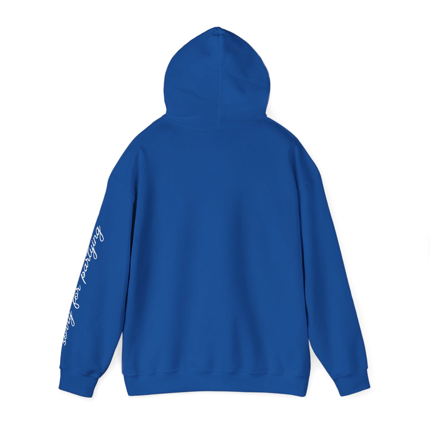 sorry for partying, hoody