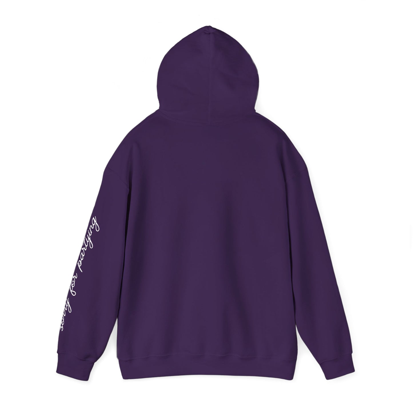 sorry for partying, hoody