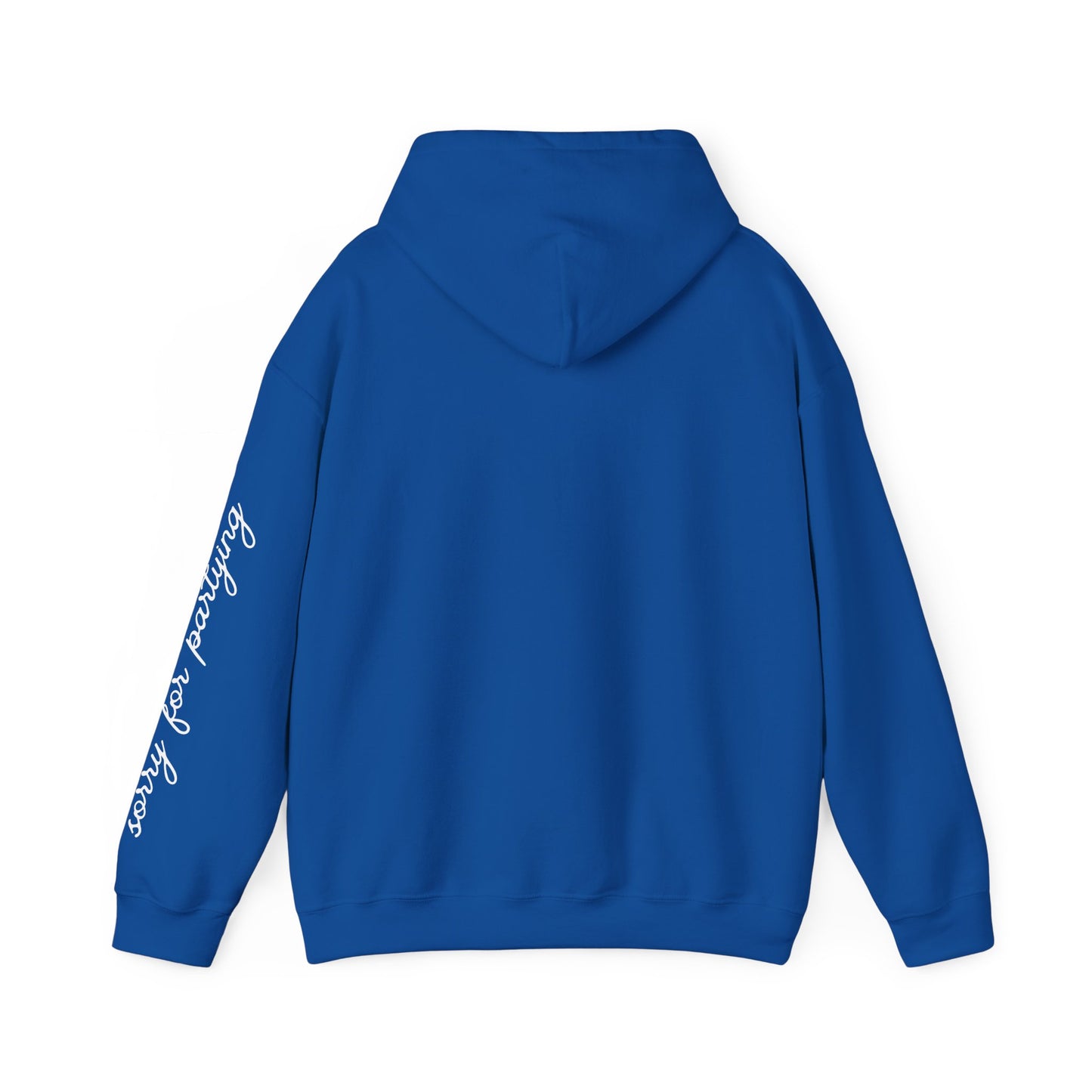 sorry for partying, hoody