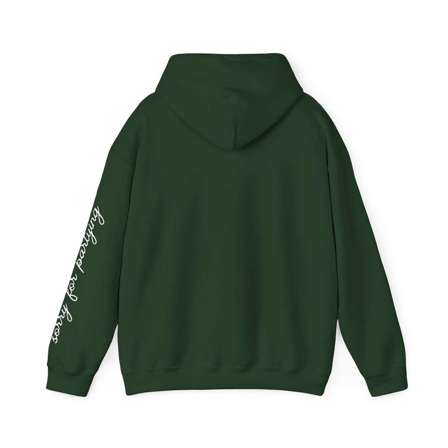 sorry for partying, hoody