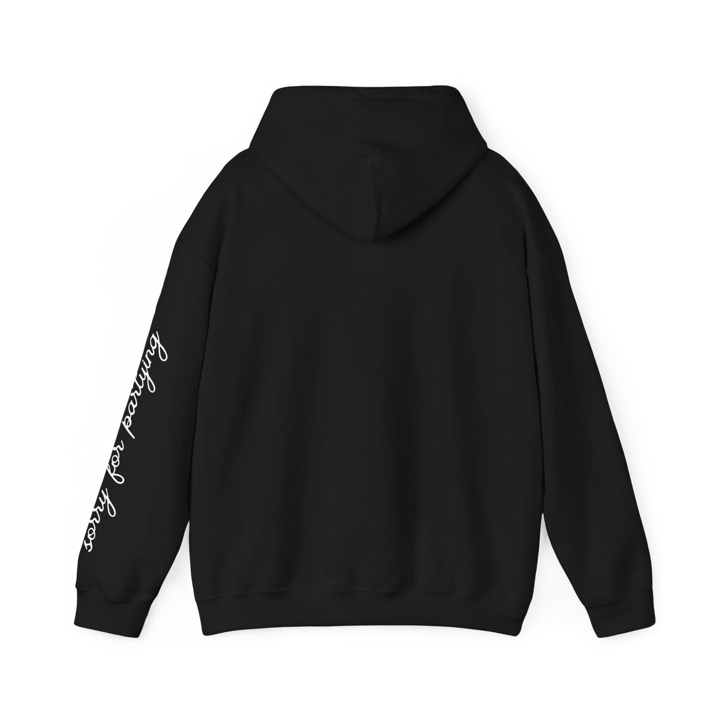 sorry for partying, hoody