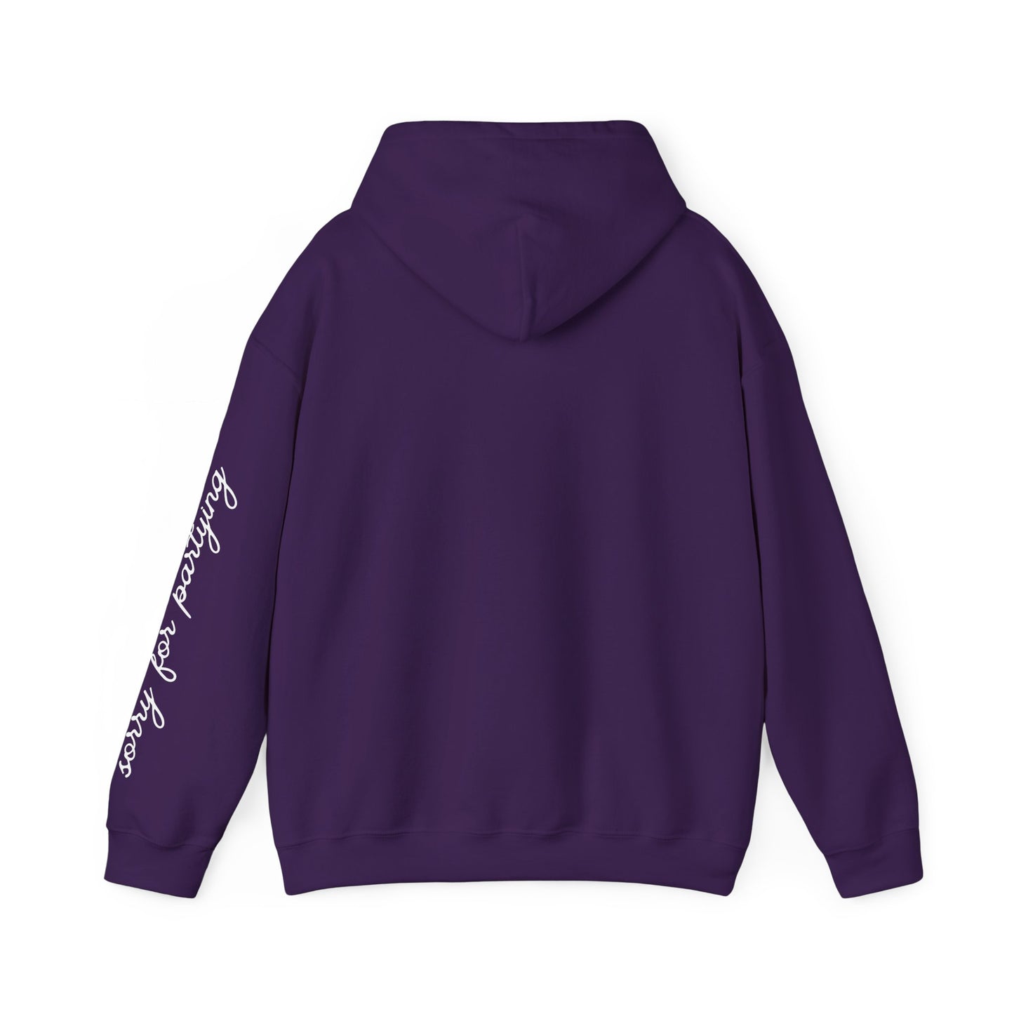 sorry for partying, hoody