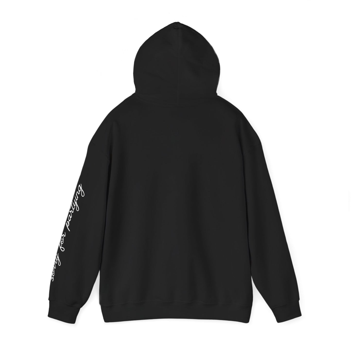 sorry for partying, hoody