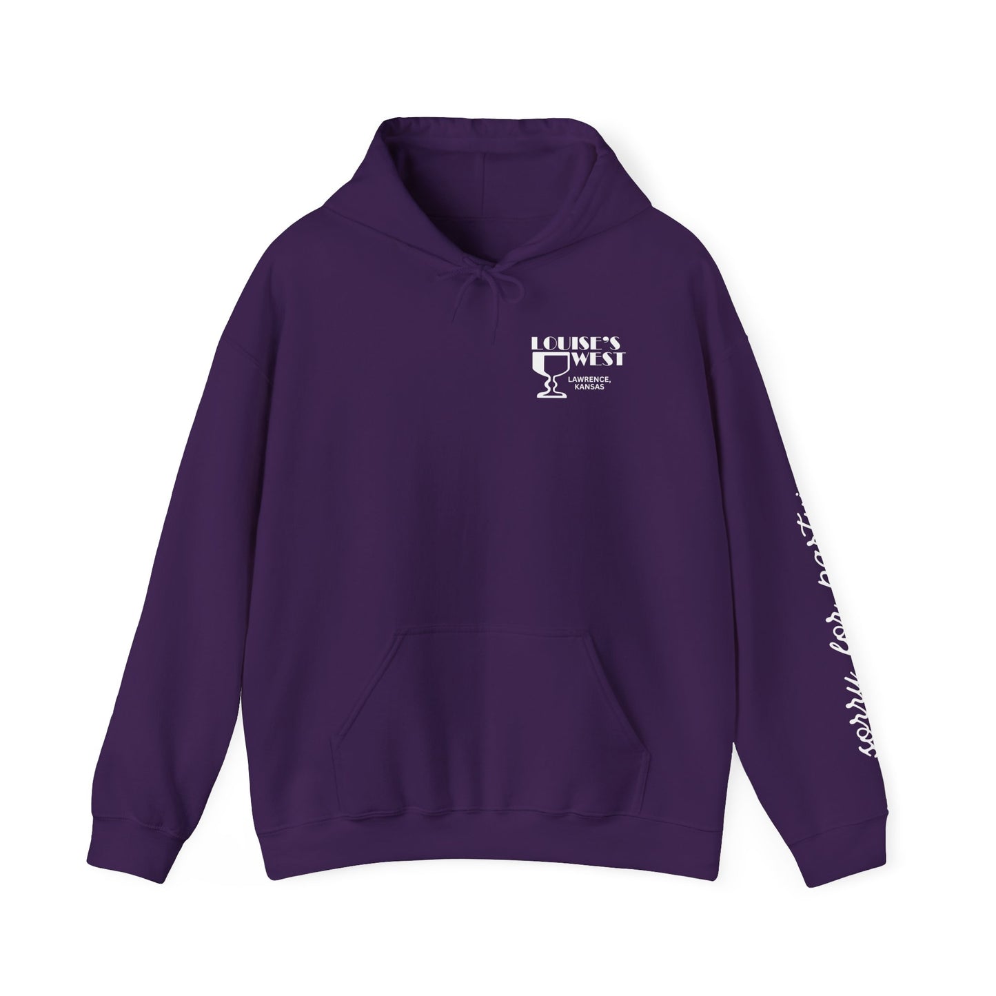 sorry for partying, hoody