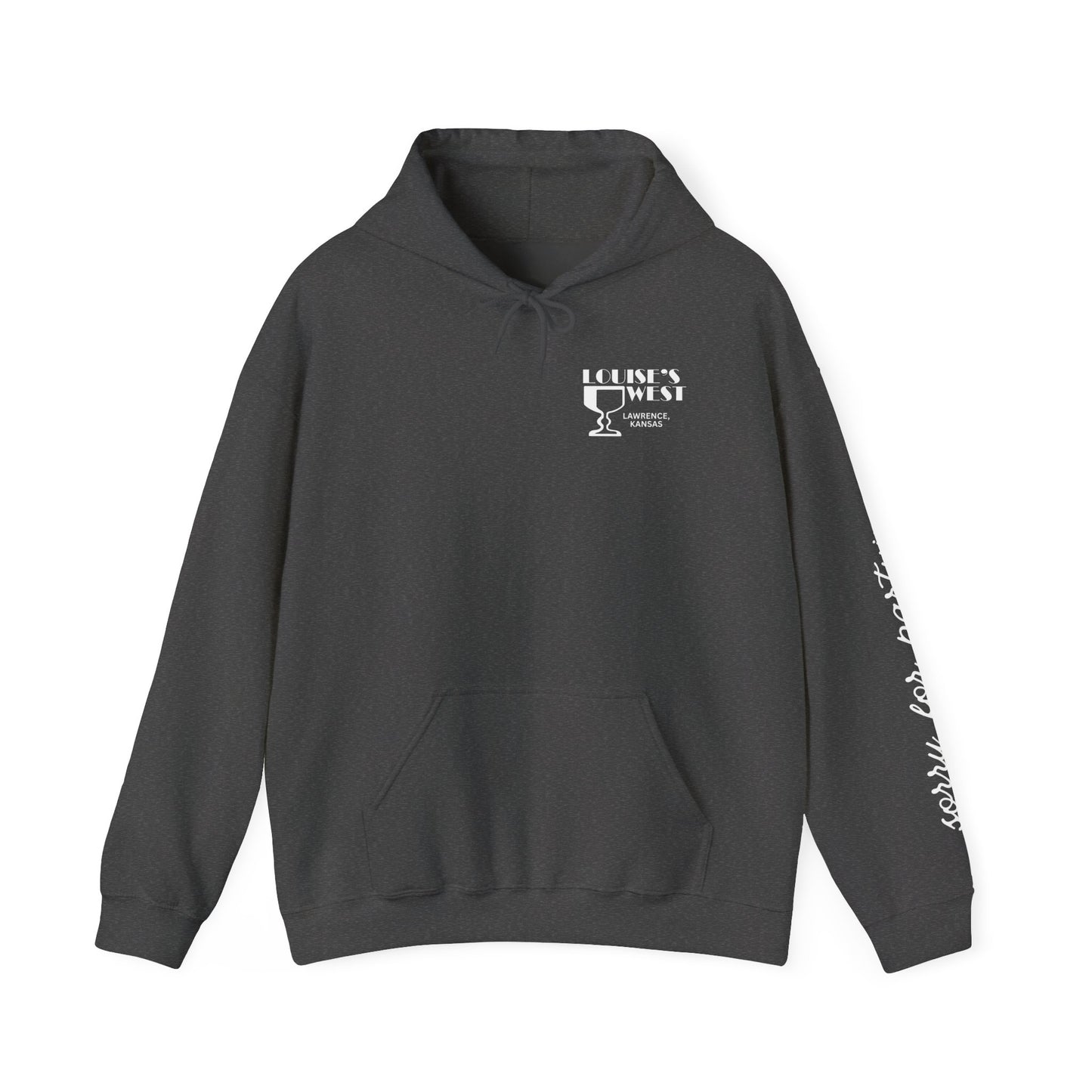 sorry for partying, hoody