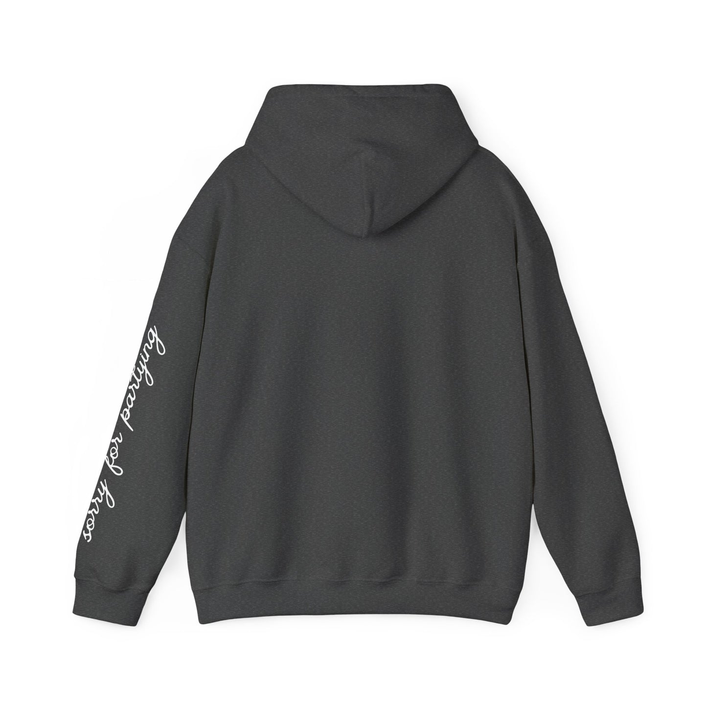 sorry for partying, hoody