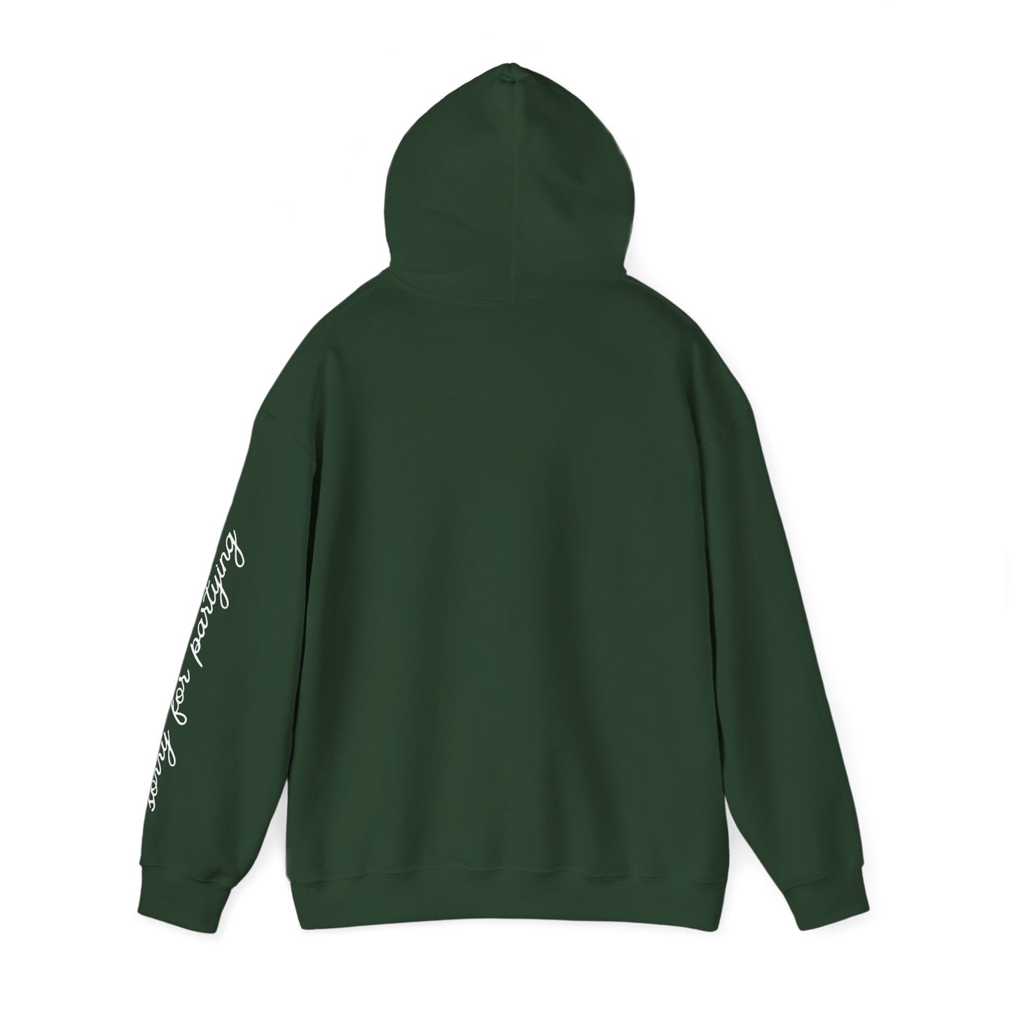 sorry for partying, hoody