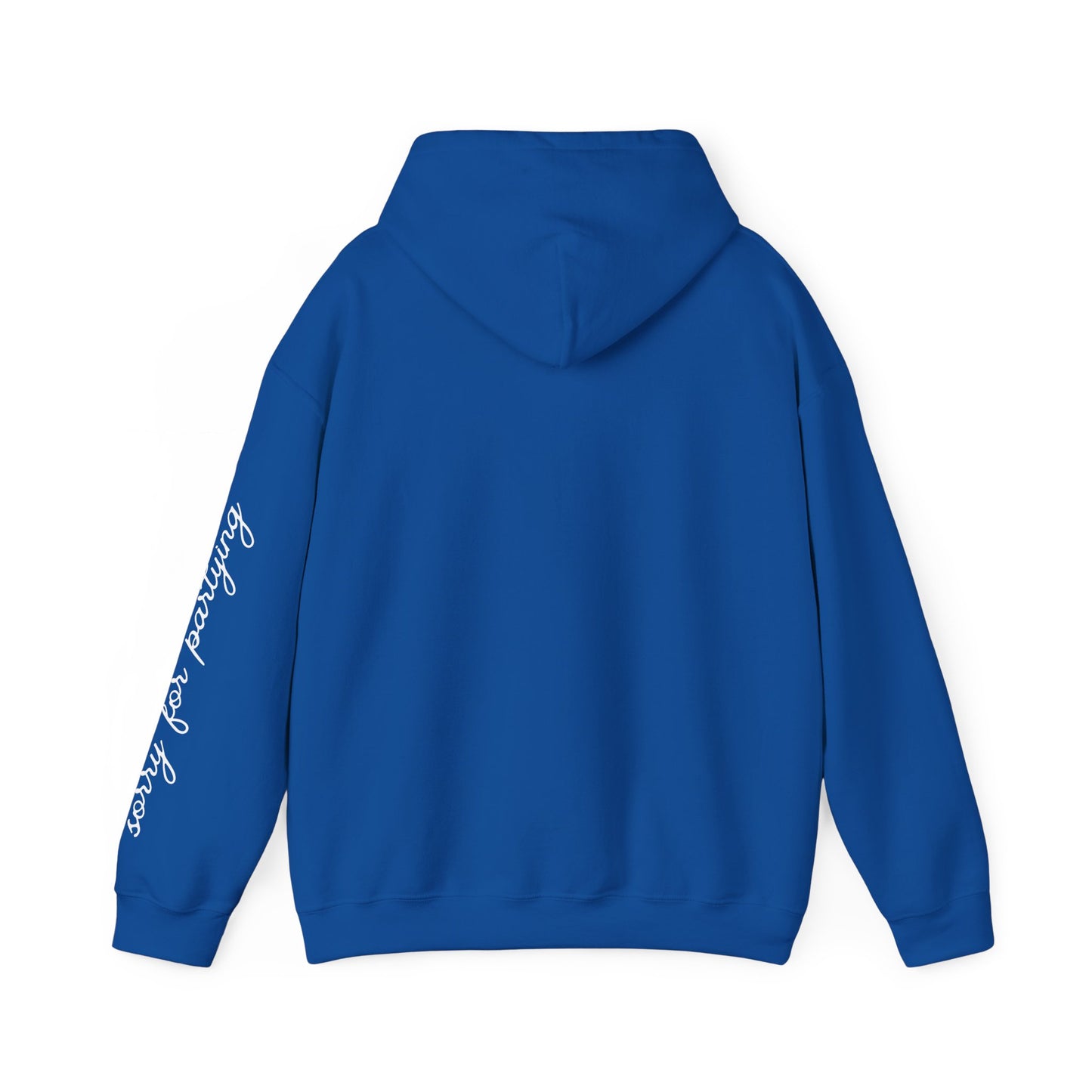 sorry for partying, hoody