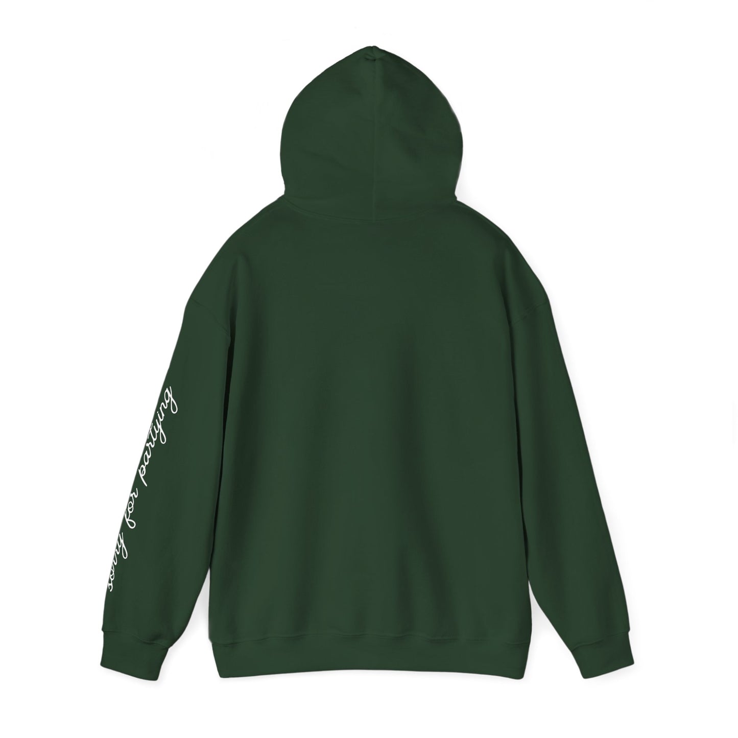 sorry for partying, hoody