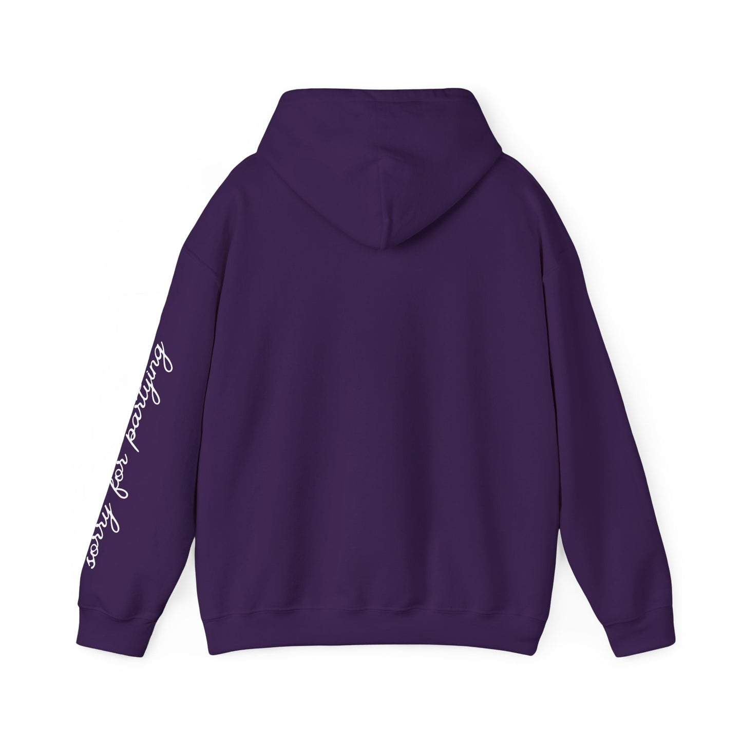sorry for partying, hoody