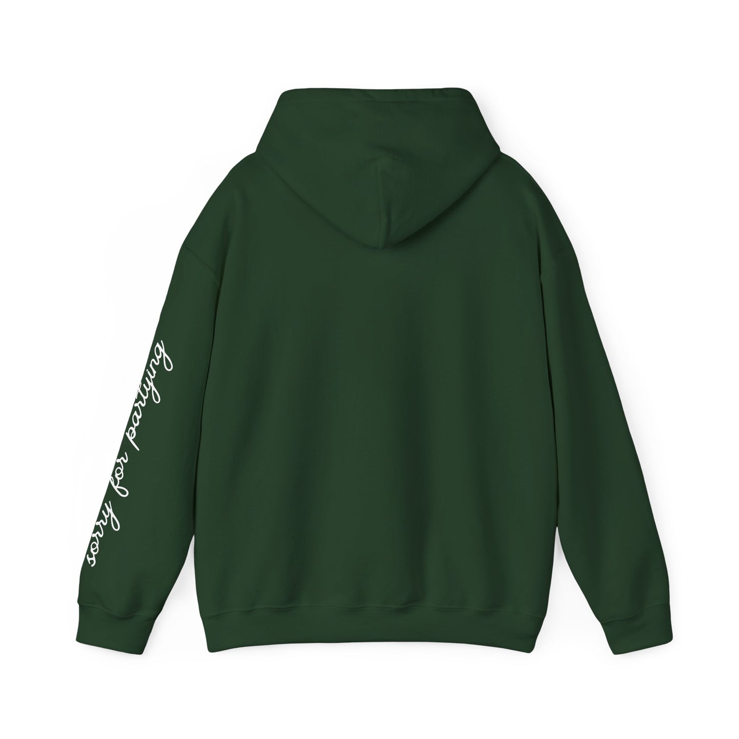 sorry for partying, hoody