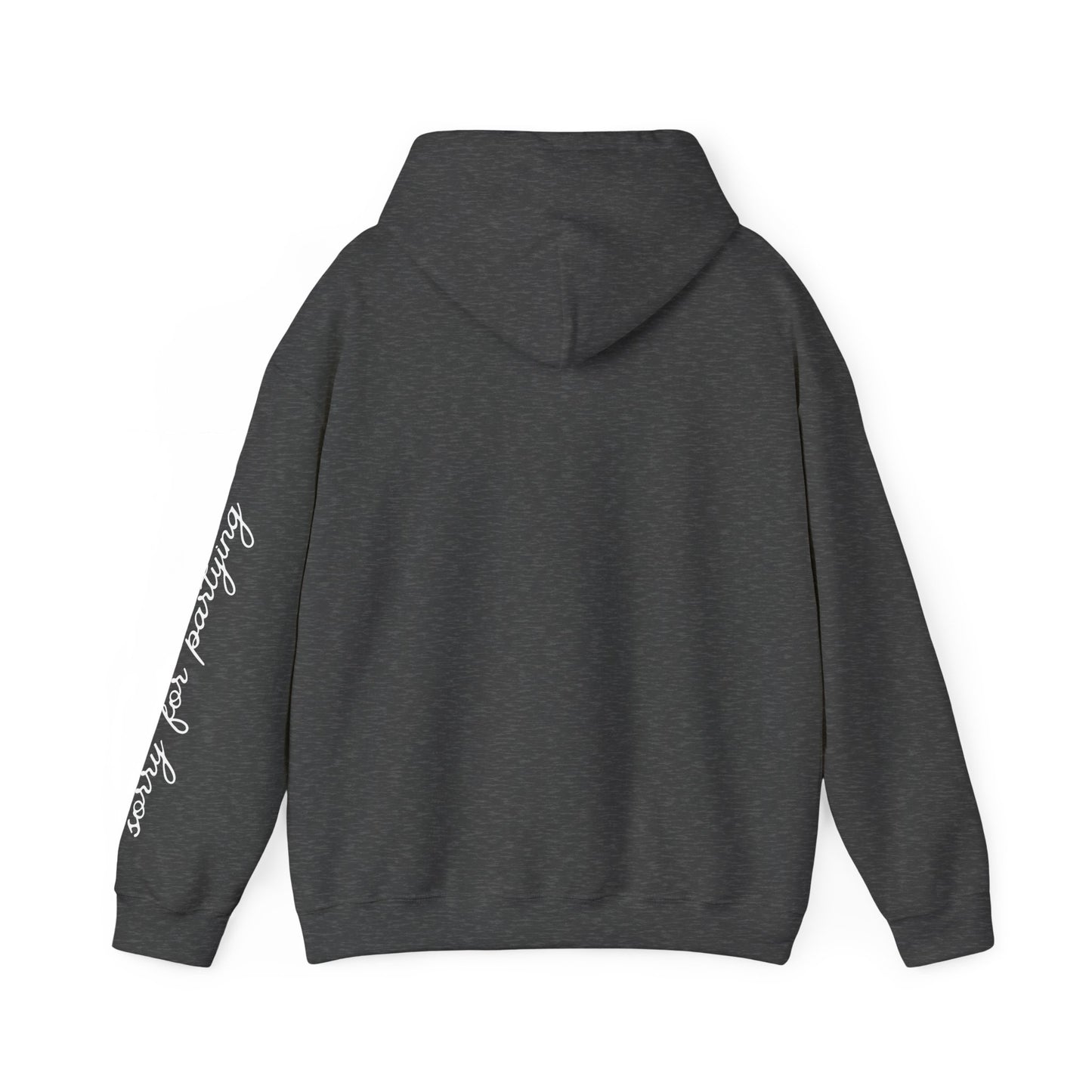 sorry for partying, hoody