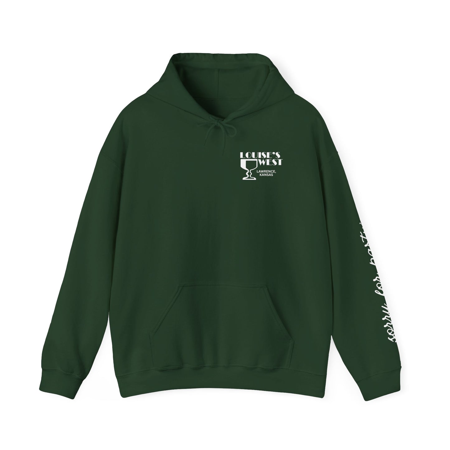 sorry for partying, hoody