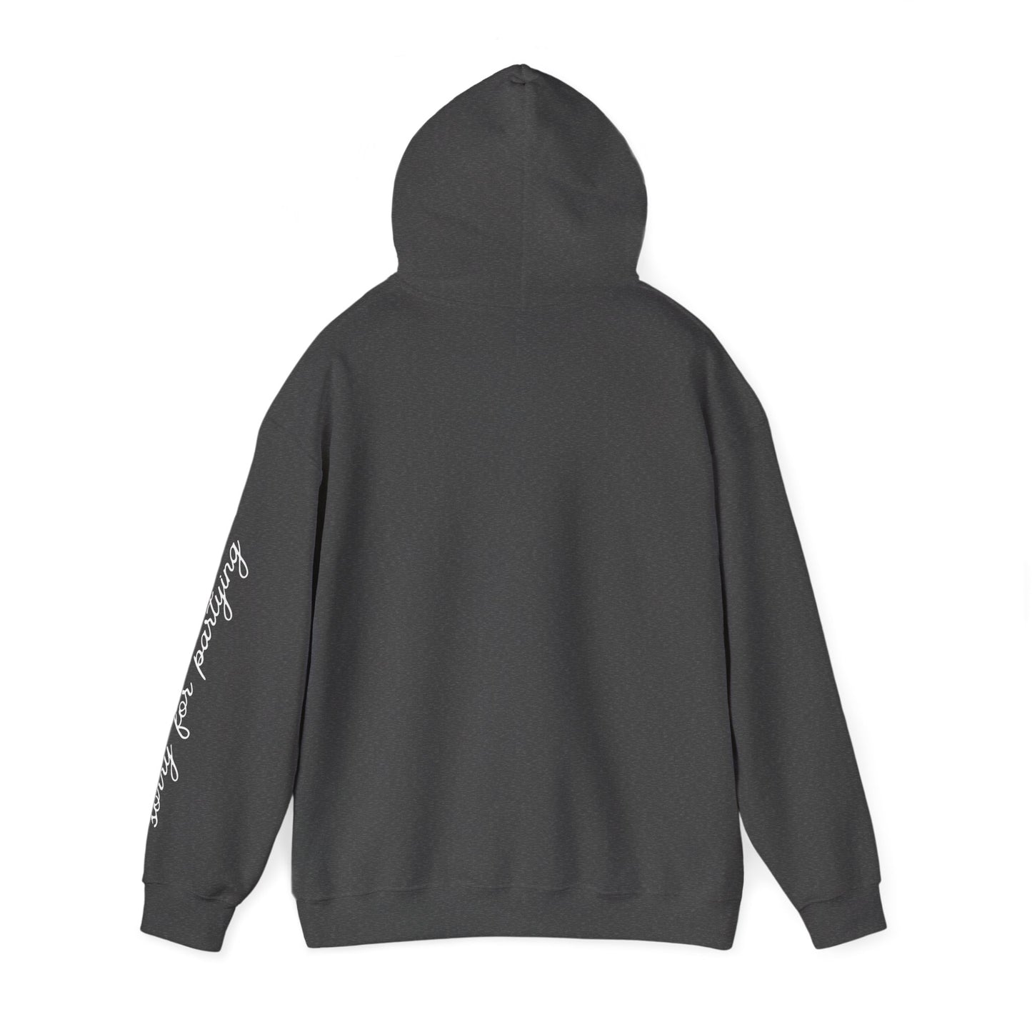 sorry for partying, hoody